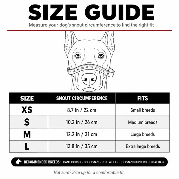 The T-Rex Muzzle