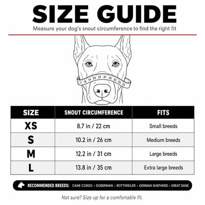 The T-Rex Muzzle